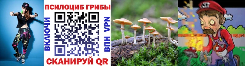 Галлюциногенные грибы MAGIC MUSHROOMS Мамадыш